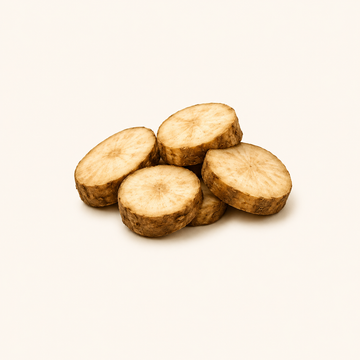 Burdock Root