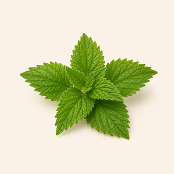 Peppermint